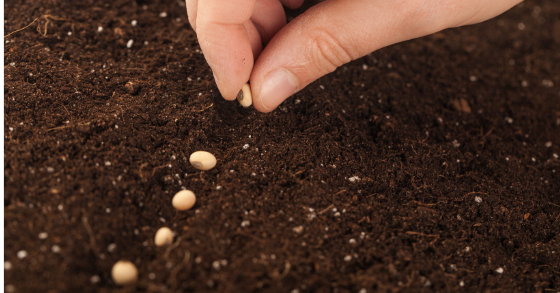 The Ins and Outs of Lead Nurturing: Boost Sales & Foster Connections