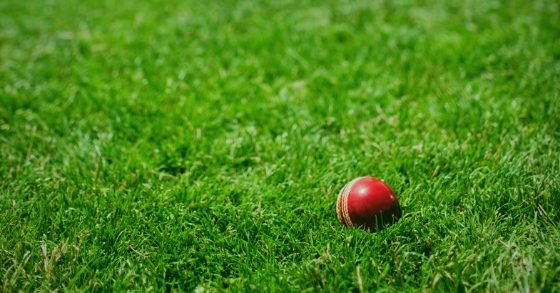 10 Things Every Business & Professional Should Learn from the Game of Cricket